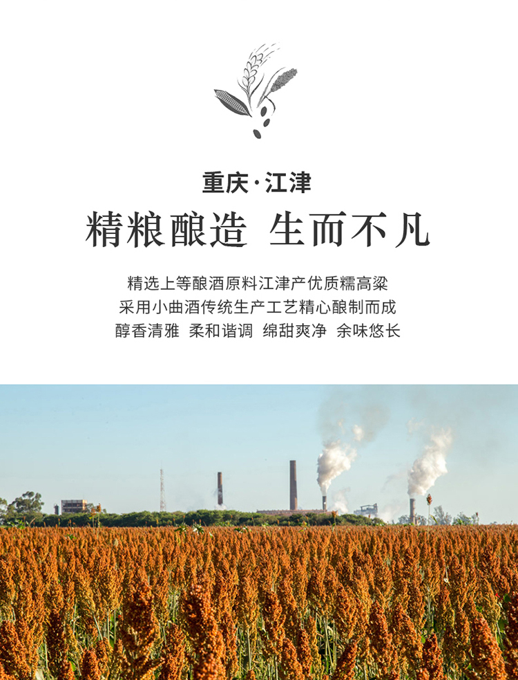 条码-4.jpg
